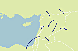 Projekt Flucht & Asyl